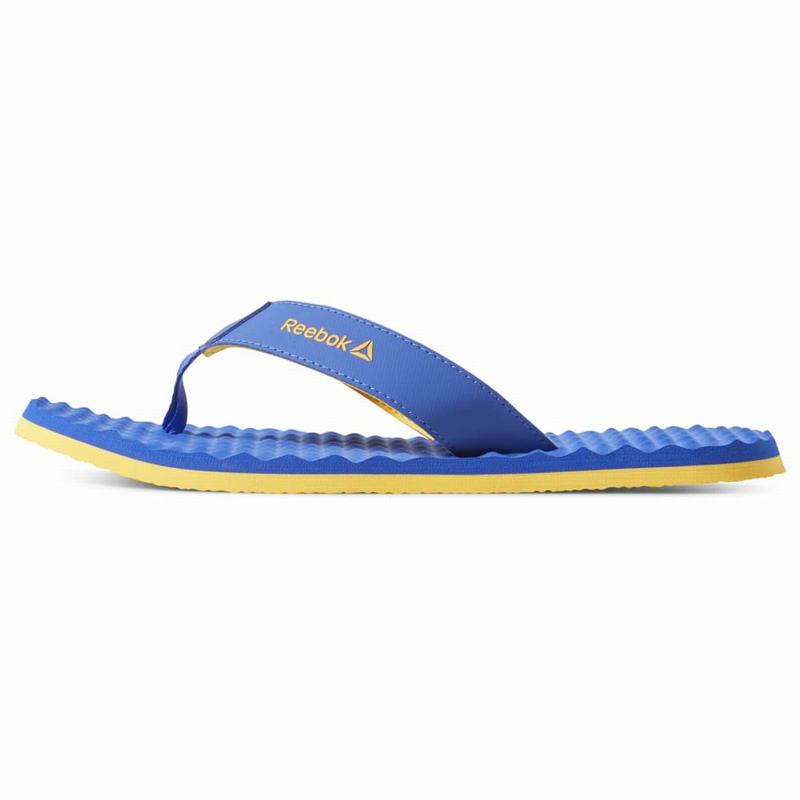 Papuci Reebok Misces Barbati Albastri/Aurii Romania LR2924TK